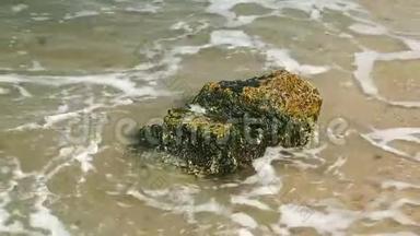 海浪冲洗覆盖着<strong>淤泥</strong>的大石头。